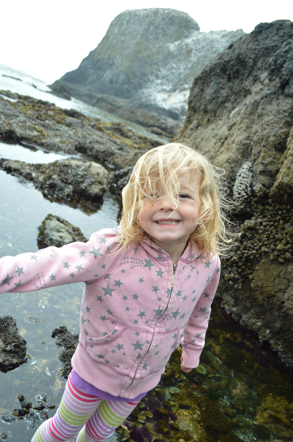 Exploring Oregon coast tide pools with kids