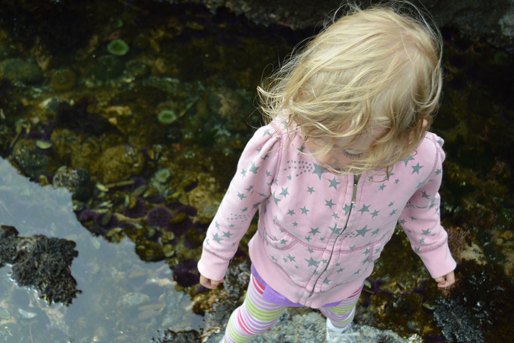 Oregon family vacation - exploring tide pools with kids