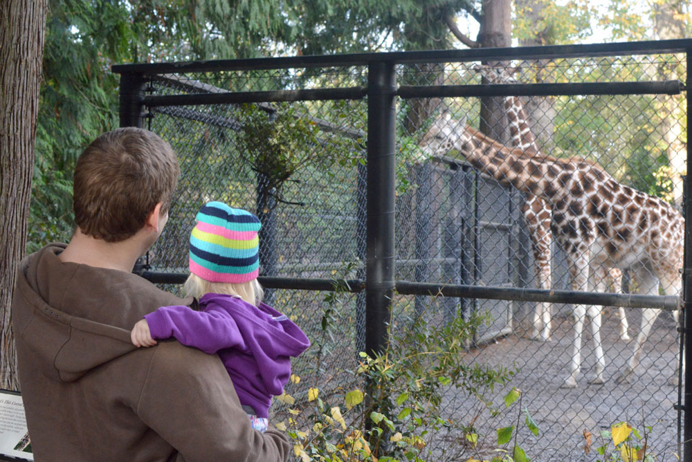 Family Day at the Seattle Woodland Park Zoo watching the giraffes - Mommy Scene
