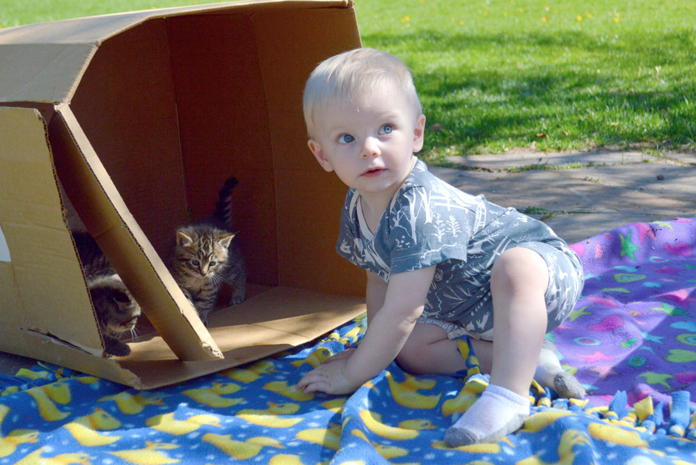 Cute Wild Dill clothing and baby with kittens - Mommy Scene