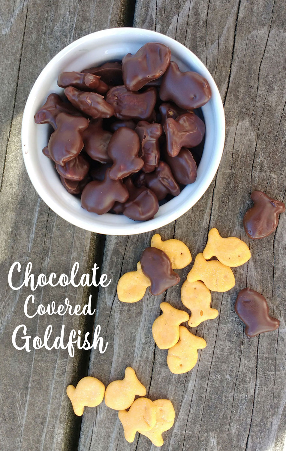 How to make Chocolate Covered Goldfish Crackers - Mommy Scene