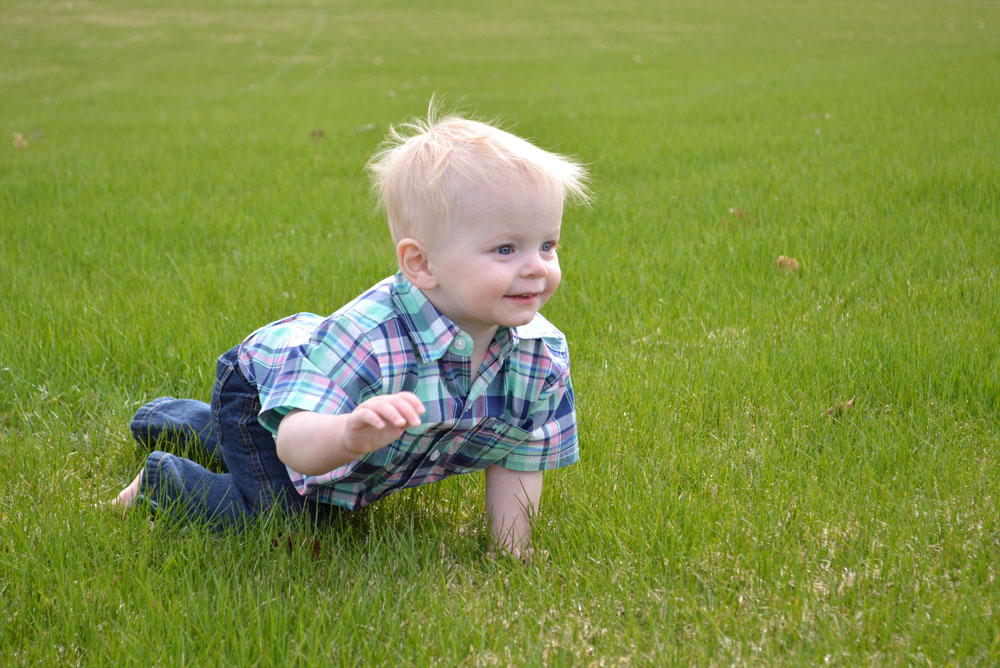 Baby boy crawling through a field - Mommy Scene