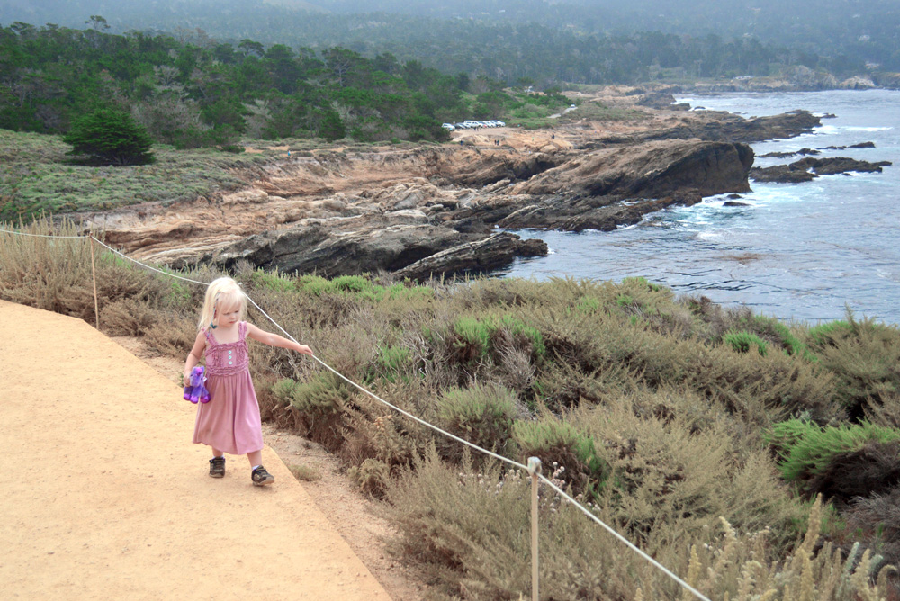 Carmel California Point Lobos State Reserve family vacation