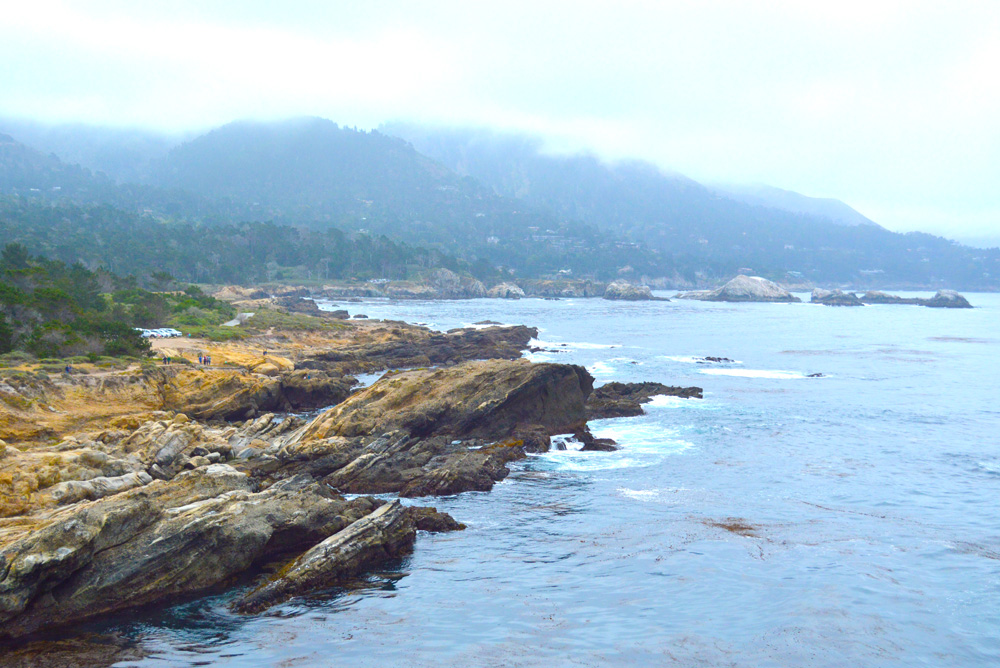 Carmel California Point Lobos State Reserve family visit