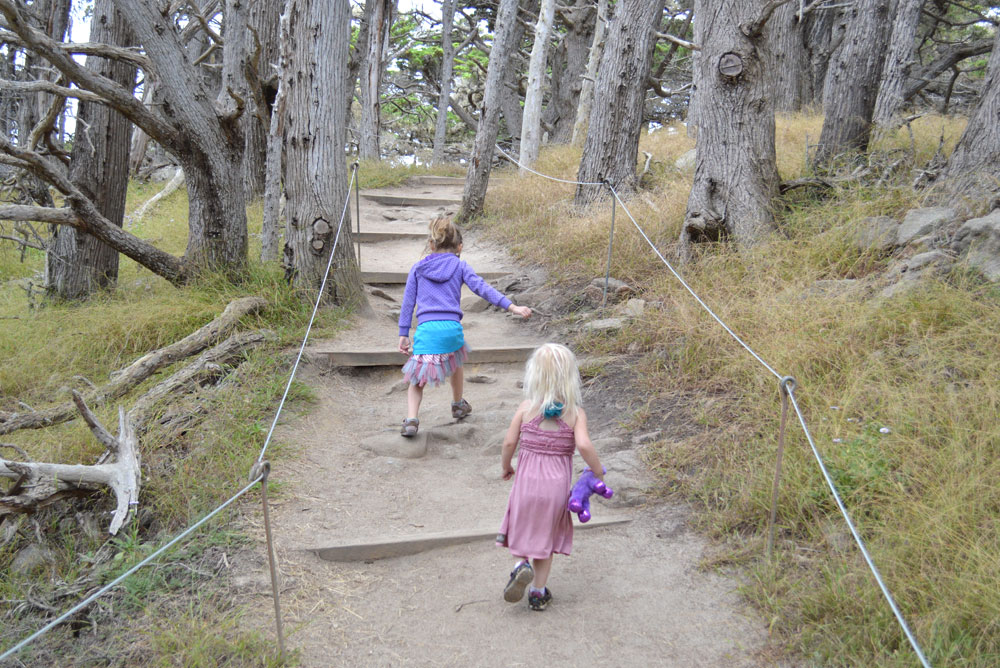 Point Lobos family hike in Carmel California