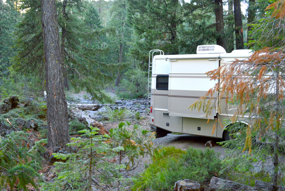 RV Camping in the Oregon woods