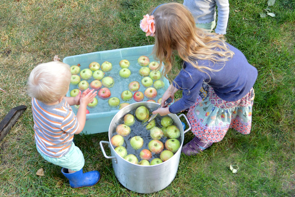 Washing apples for pressed cider - Mommy Scene