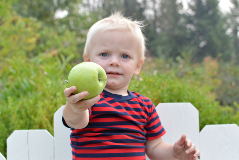 Baby boy holding an apple
