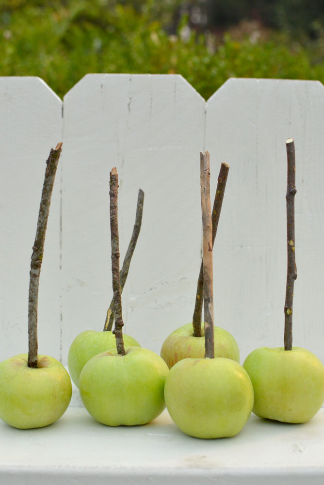 Hand dipped DIY Caramel Apples