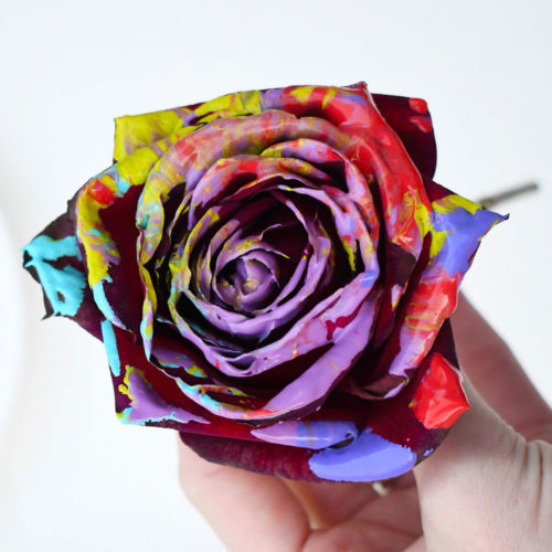How to Paint with Roses & Make Custom Art