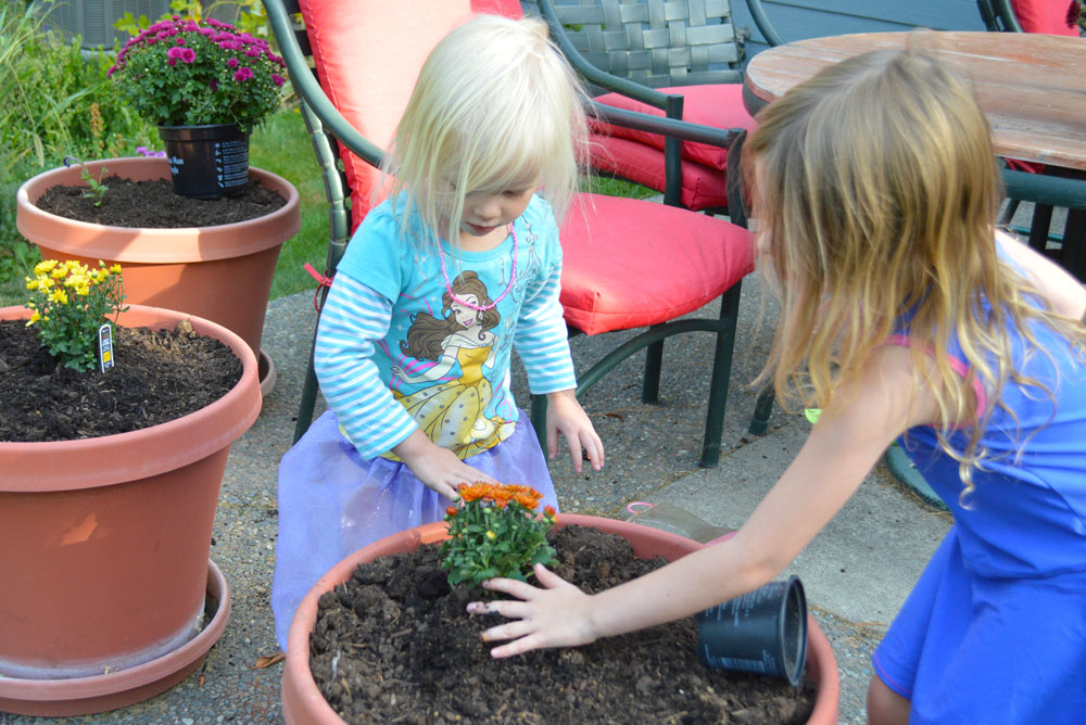 Planting for fall kids activity - Mommy Scene