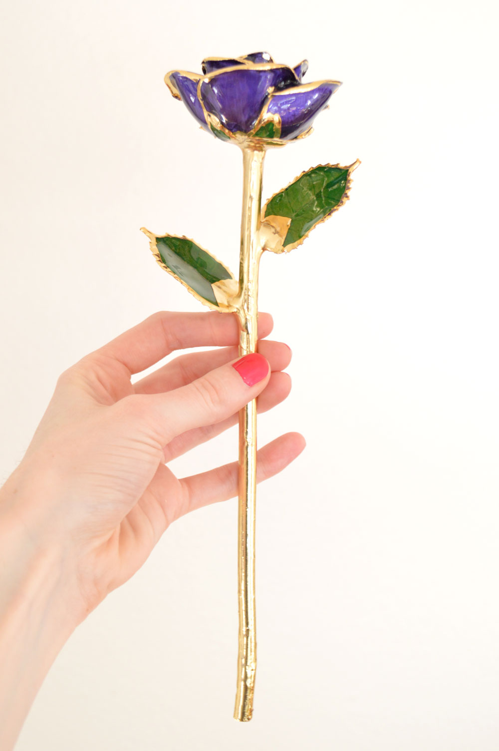 24k gold dipped Eternity Rose gift idea for her