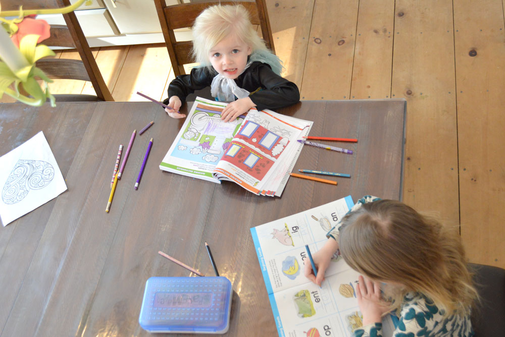 How To Entertain A Toddler During Homeschool Create Play Travel 