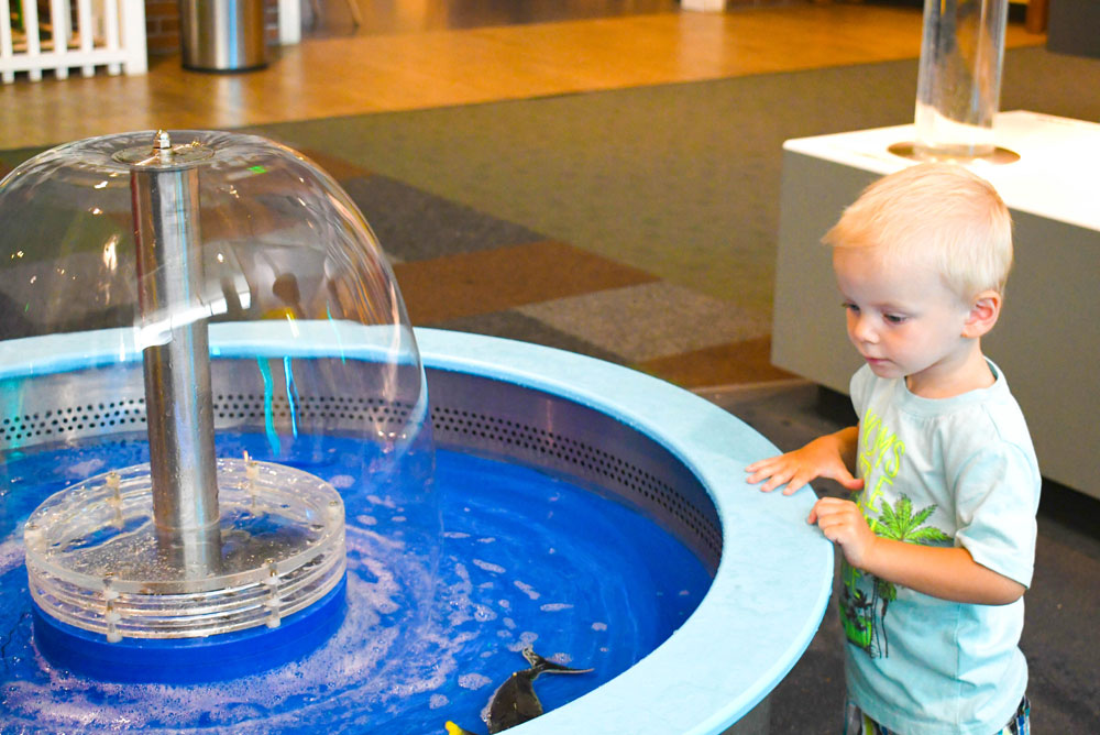 Denver Museum of Nature and Science Kids Discovery Zone water play tables