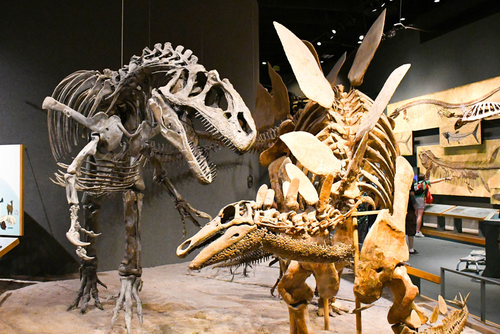 Denver Museum of Nature and Science family visit Prehistoric Journey dinosaur exhibit