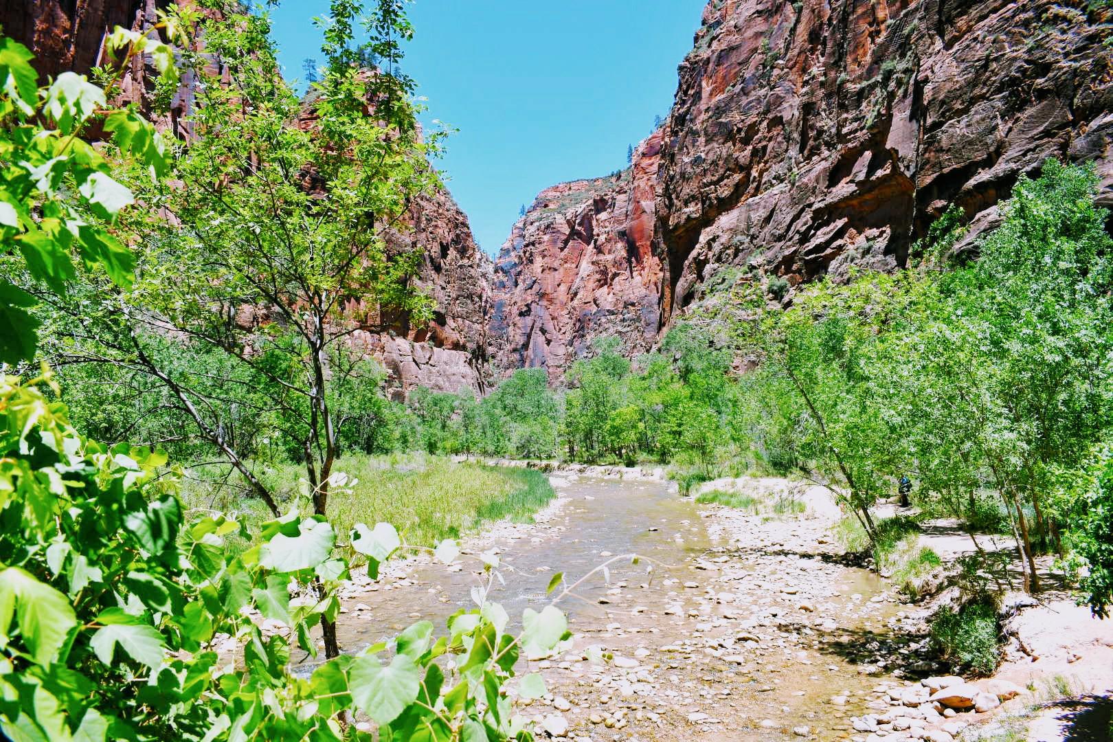Zion Canyon family adventure hike