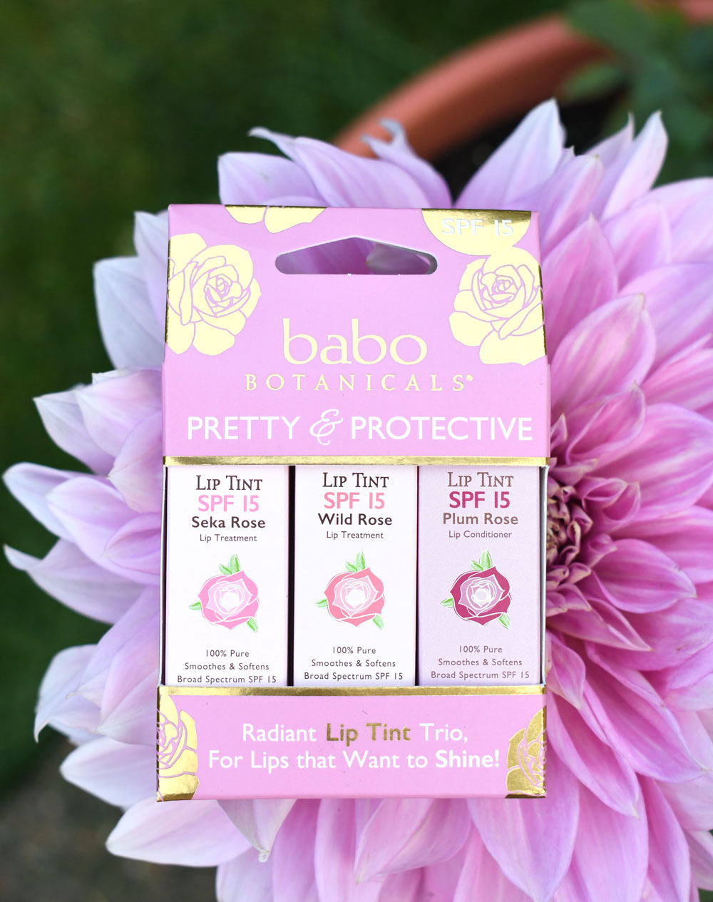 Babo Botanicals lip tints sampler set