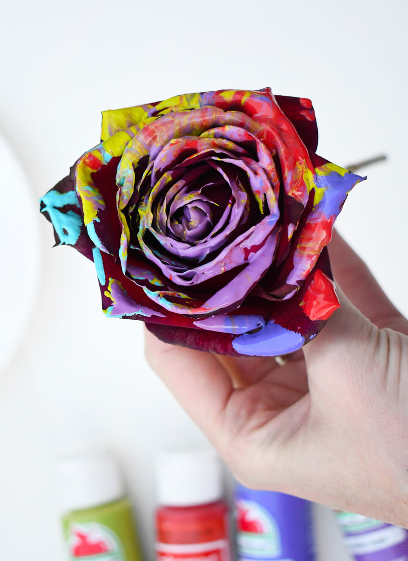 How to paint with roses and make custom art