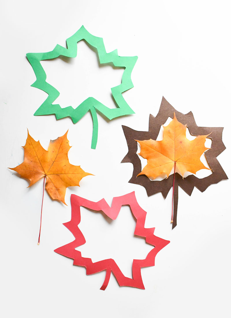 colorful tissue paper suncatchers fall window decorations