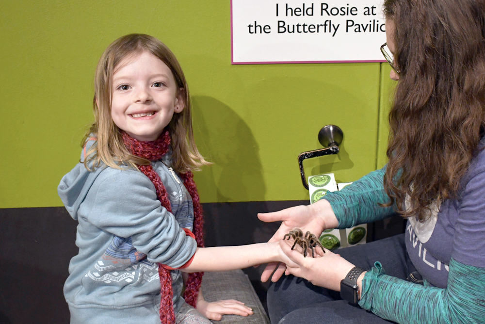 Denver Butterfly Pavilion - holding Rosie the tarantula