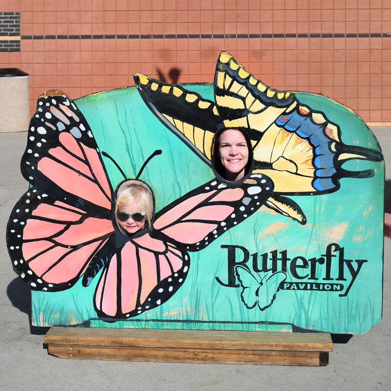 Educational Family Visit to the Denver Butterfly Pavilion