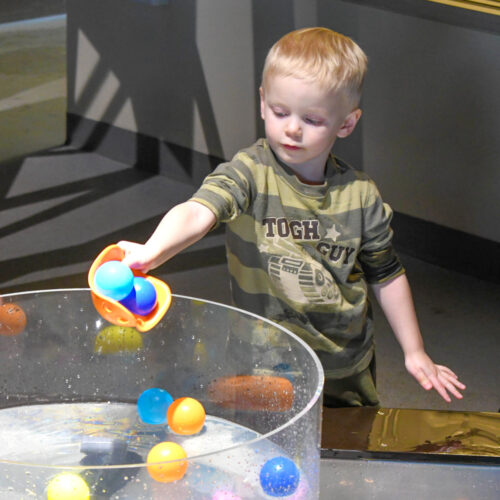 Fun Activities at the Children’s Museum of Denver