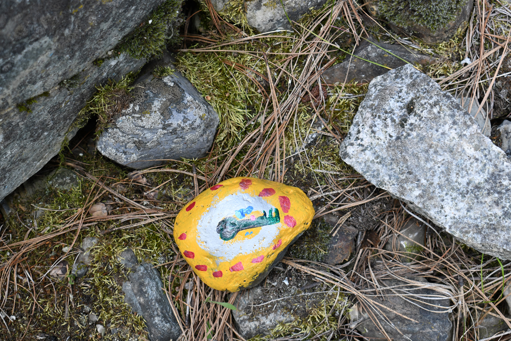 Painted rock hunting in North Idaho