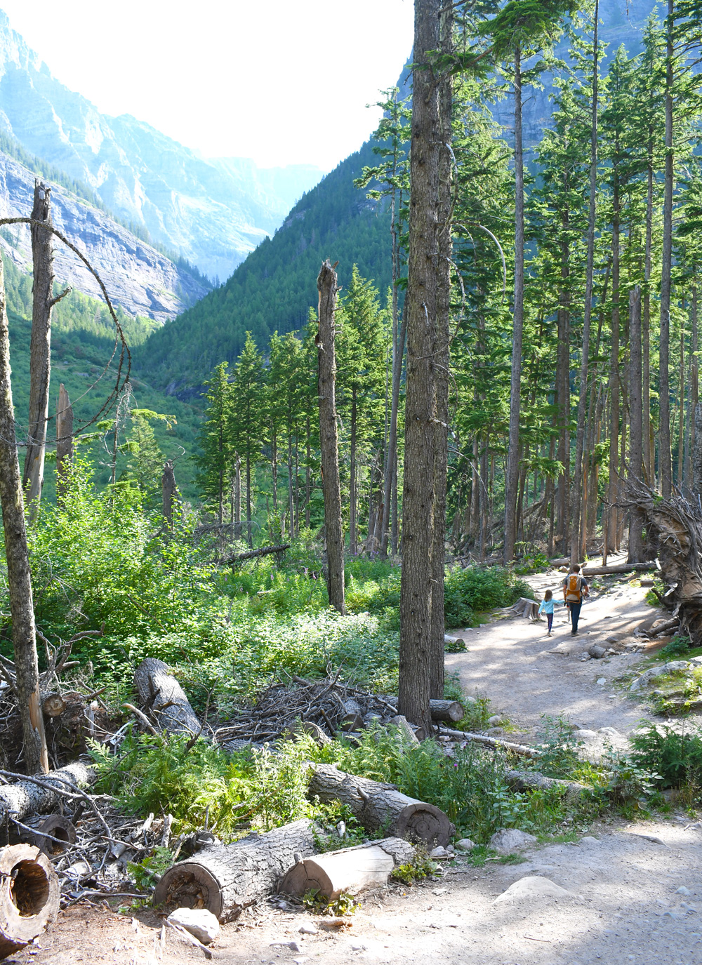Avalanche Lake trail in Glacier National Park family hike