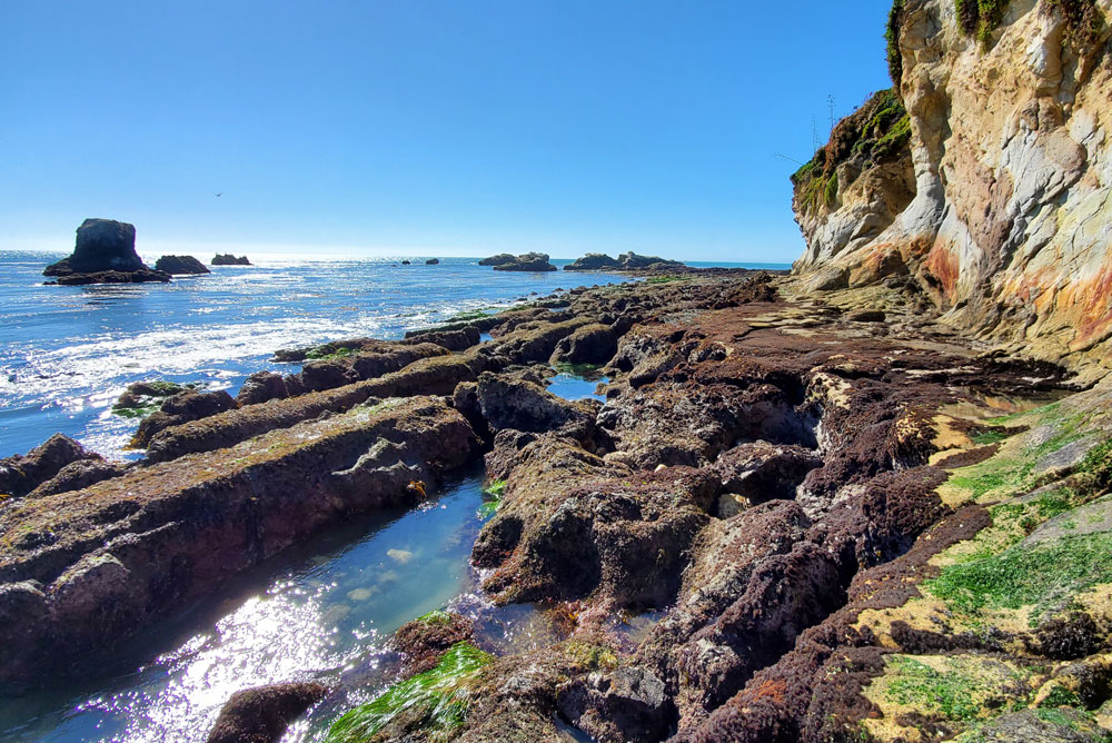Great Places to Take Kids Near Pismo Beach, CA - Create ...
