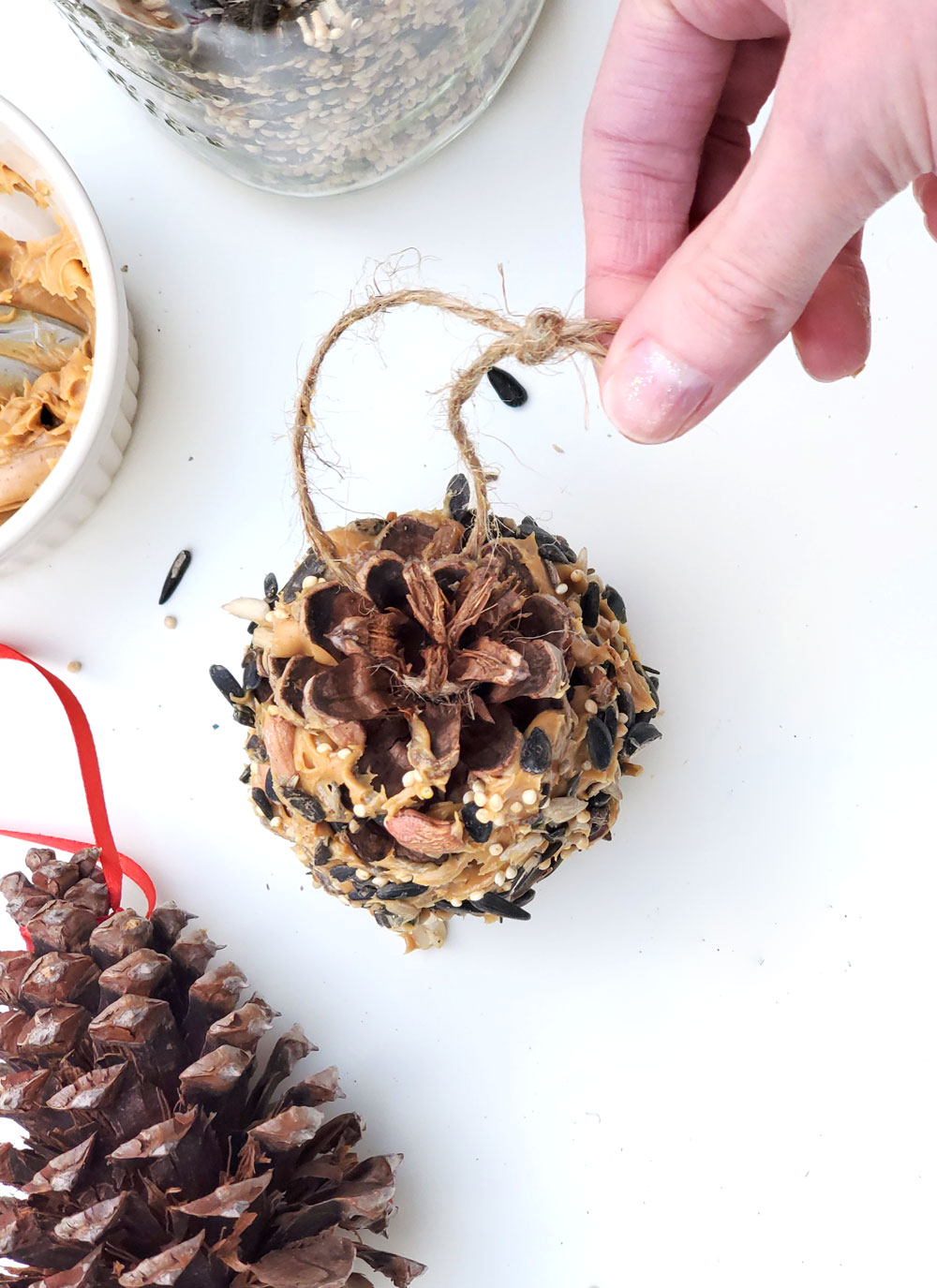 How to make bird feeders from pinecones