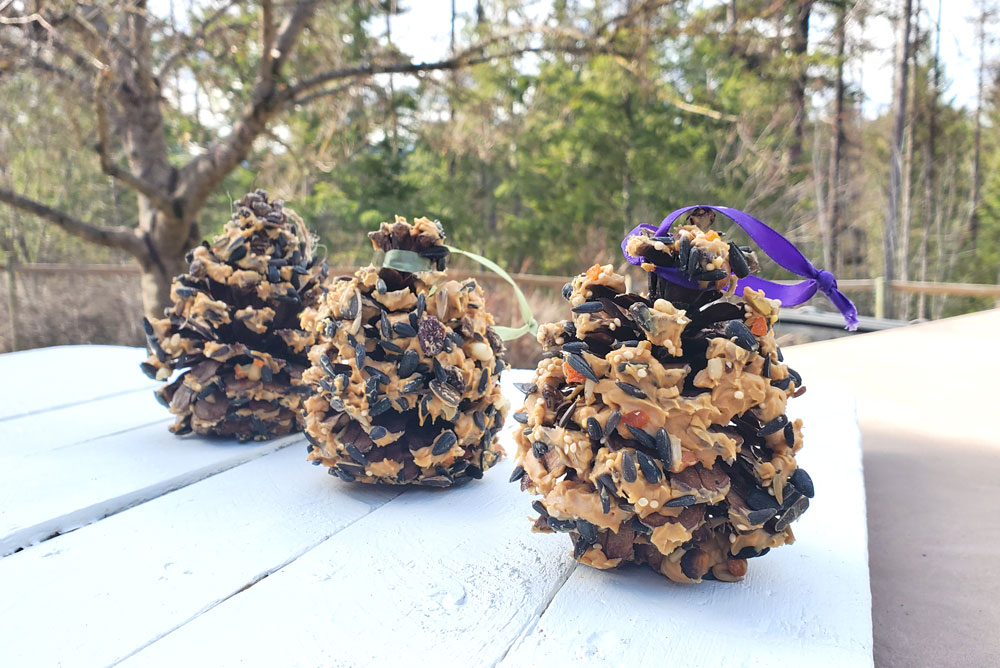 DIY pinecone bird feeders for your backyard