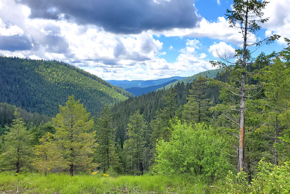 Off-Road Riding Bunco Trails Coeur d'Alene Idaho