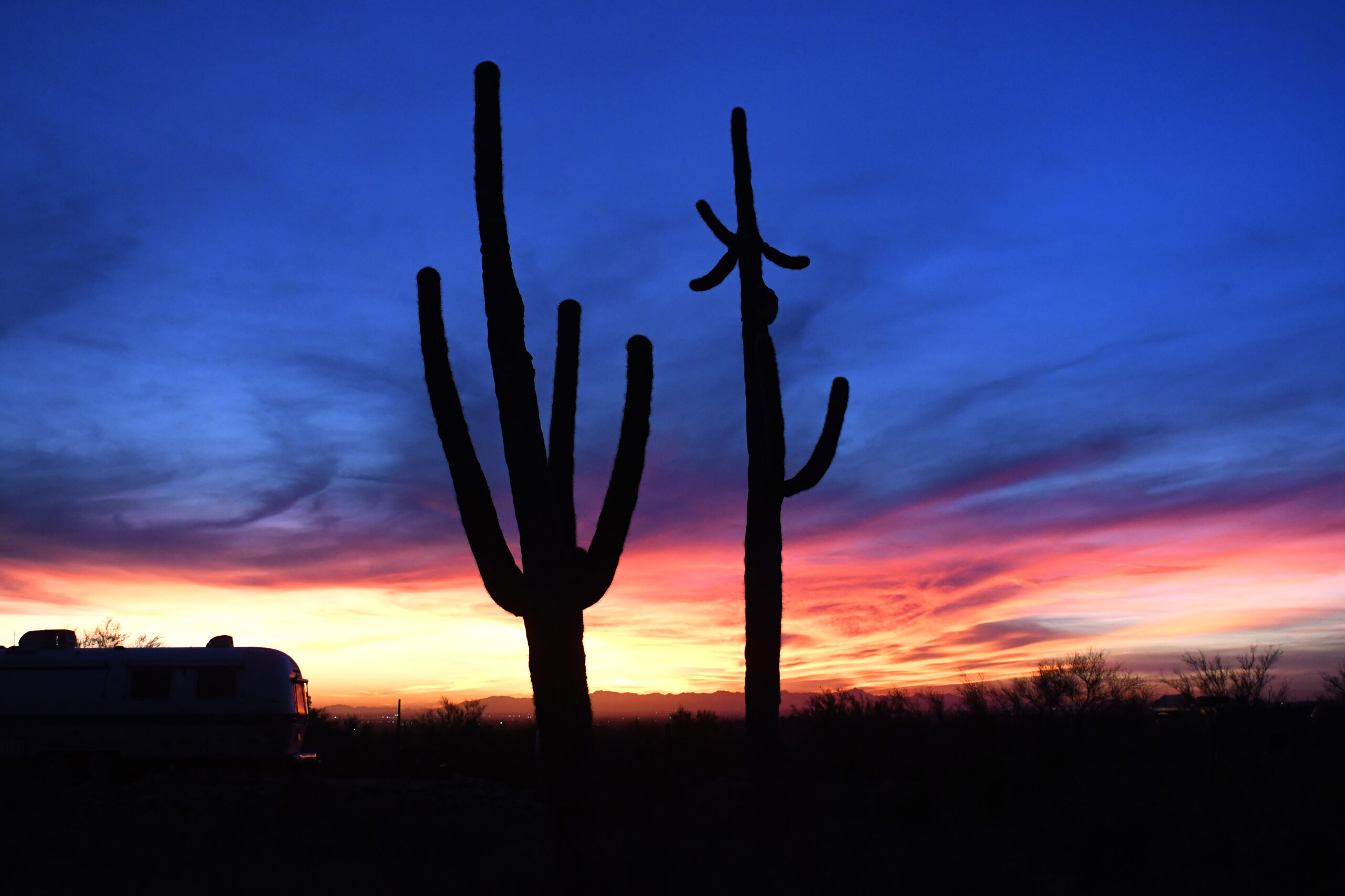 Arizona desert sunset and cactus