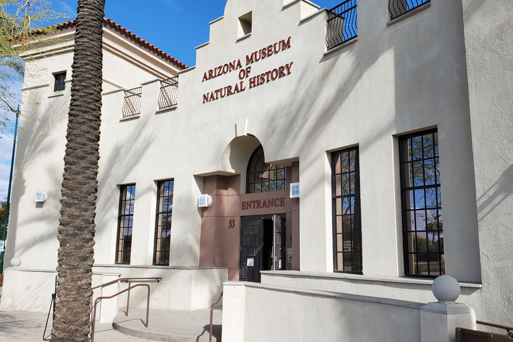 Arizona Museum of Natural History kids activities near Phoenix