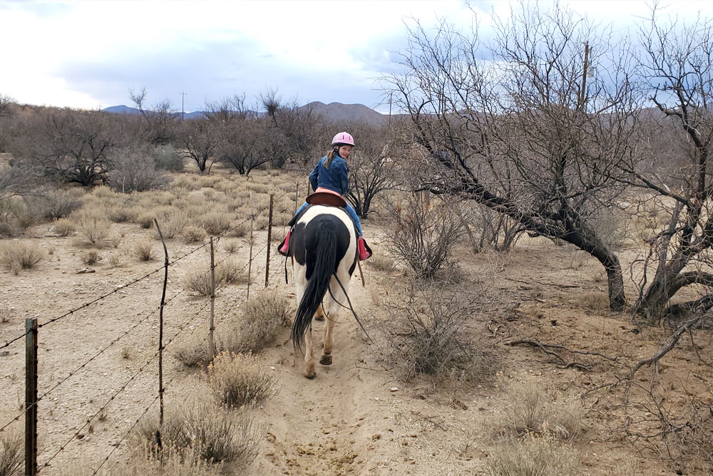 Kids horseback riding in the desert in Tucson Arizona