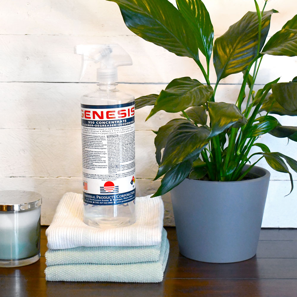 Spring Cleaning & Organizing Tips