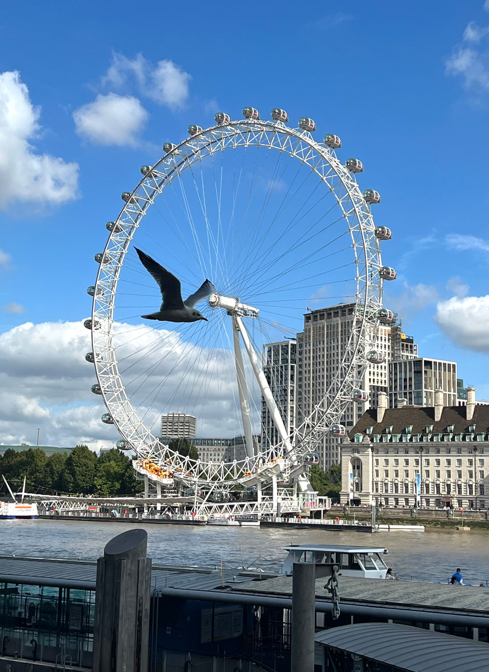 London Eye cantilevered observation wheel in England