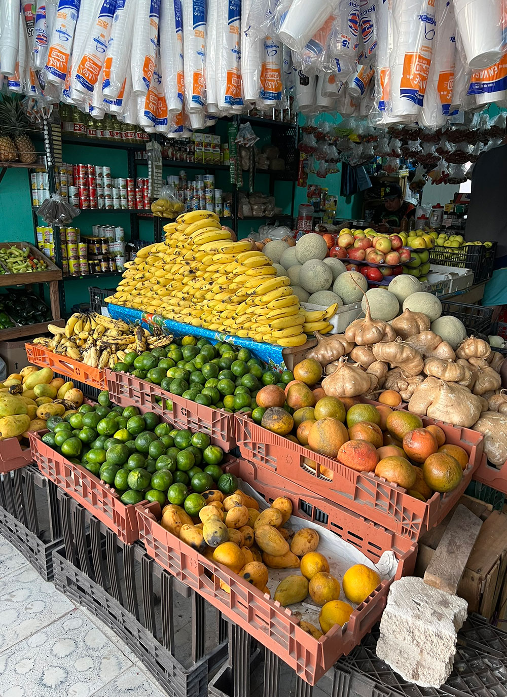 fresh fruit stand in Merida, Mexico