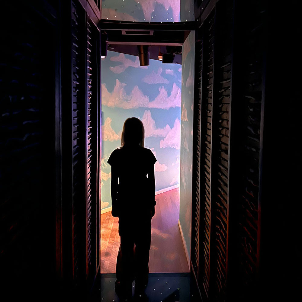 Meow Wolf The Real Unreal, Dallas, Texas