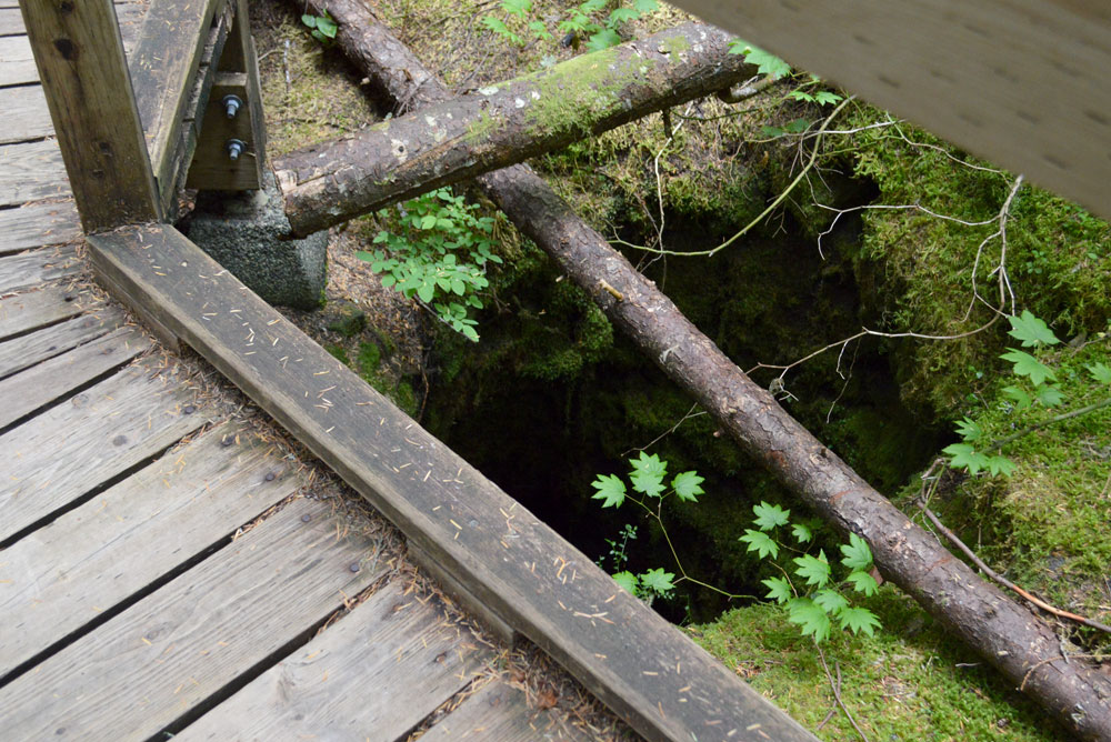 Mount St. Helens tree trunk lava tubes Washington pacific northwest family travel
