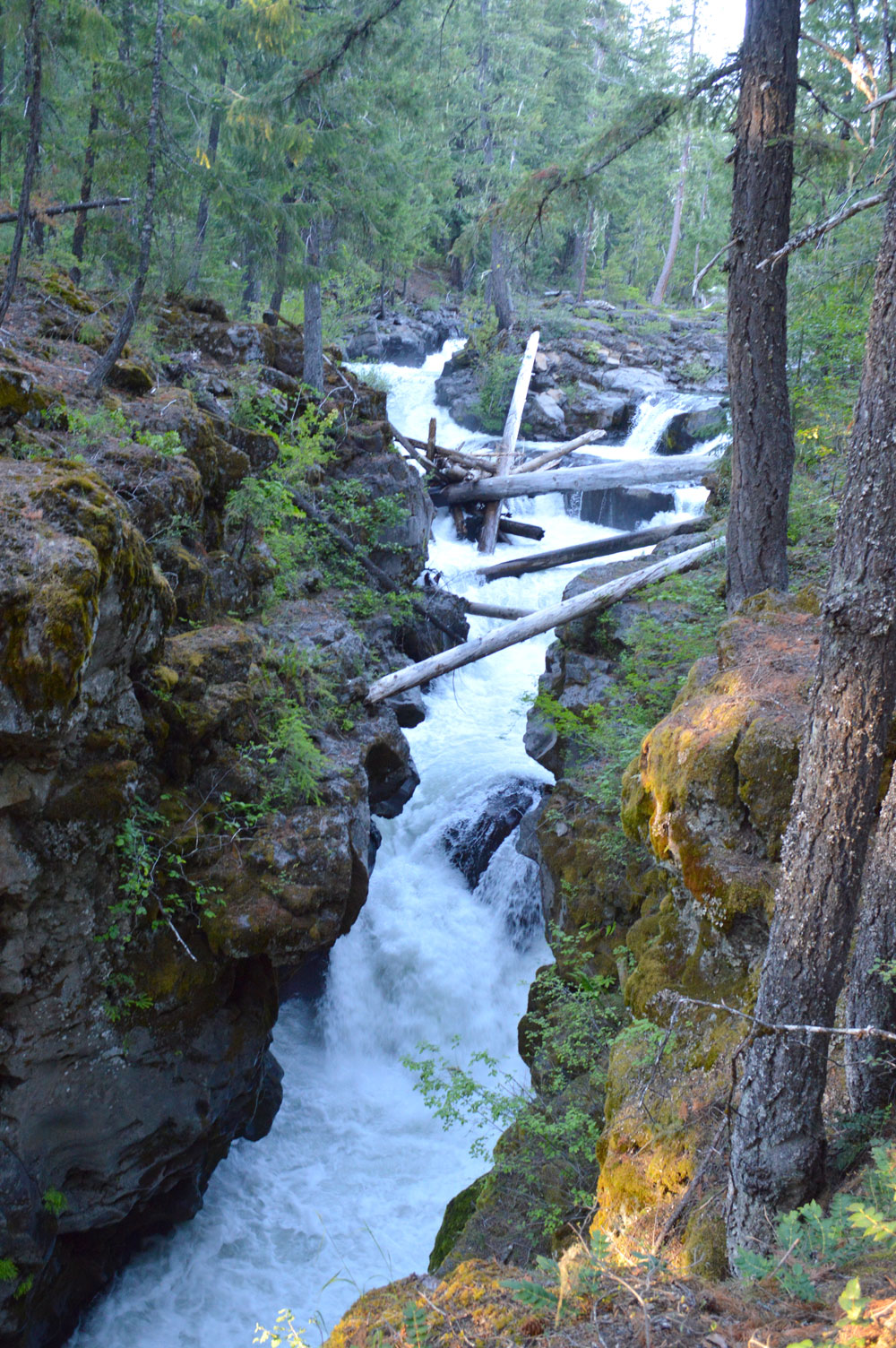 Rogue River Gorge beautiful views in Oregon pacific northwest family travel
