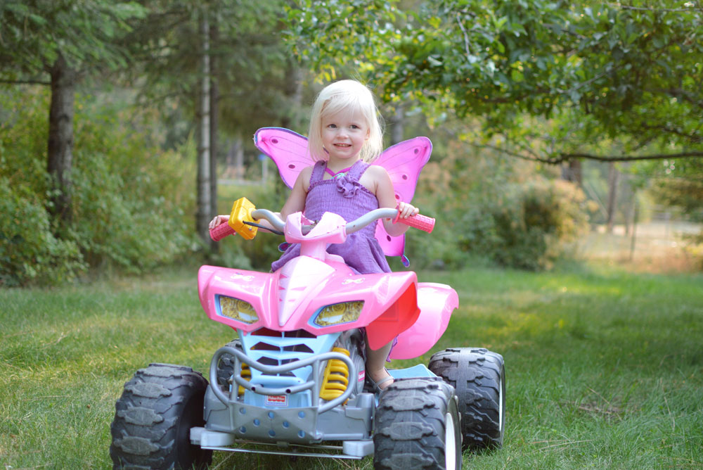 toddler girl purple fairy dress powerwheels toy