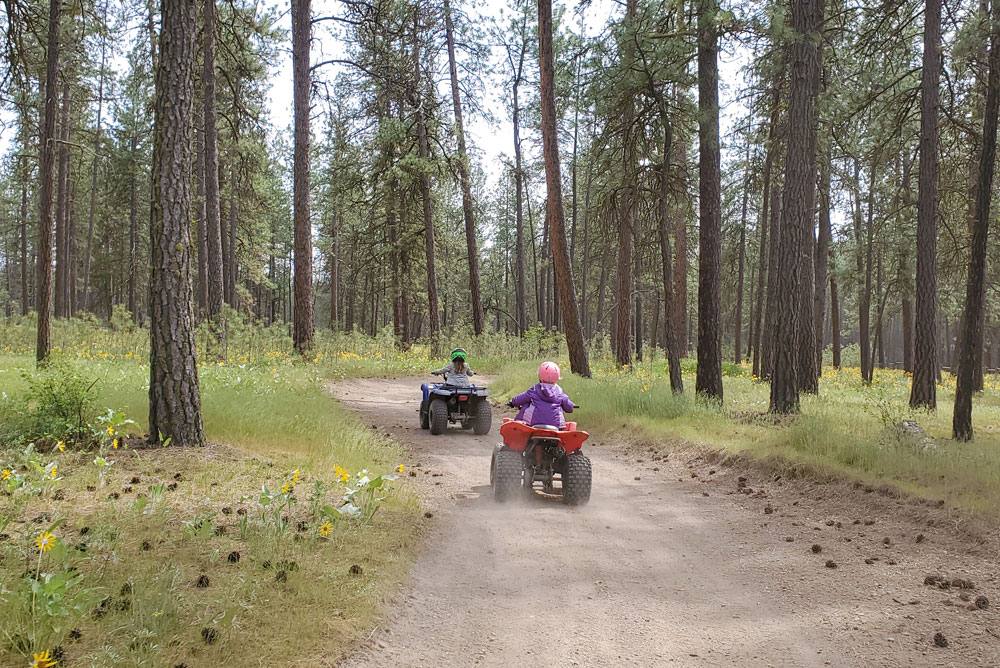 beautiful wooded trails at Spokane ORV park