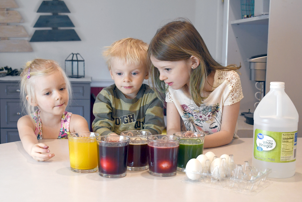 dye eggs using natural food coloring creative kids activity