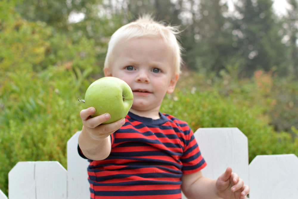 toddler boy holding apple