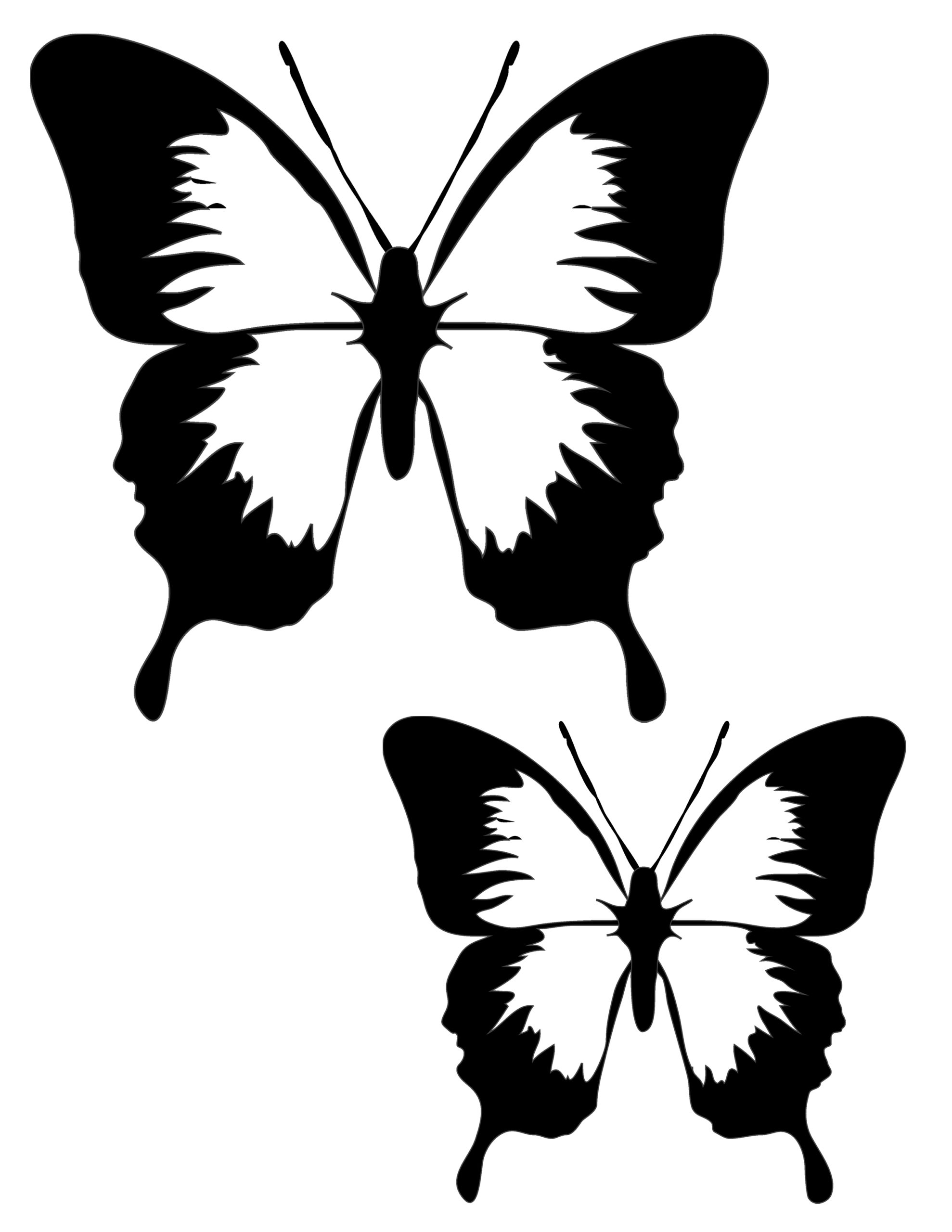 butterfly suncatchers template style 2 kids craft