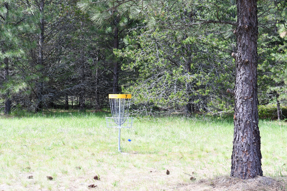 Disc golf course at Farragut State Park during family camping trip