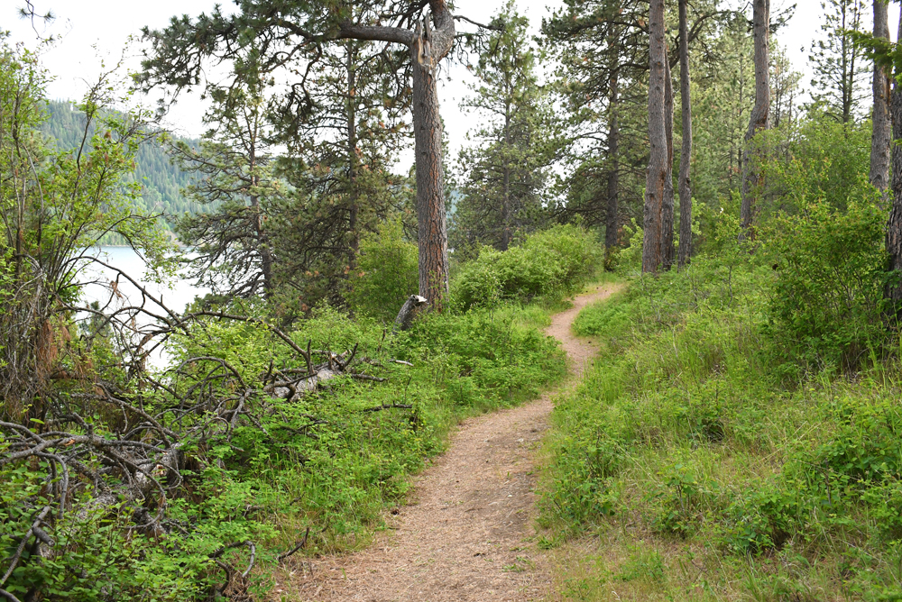 Family hiking trail at Farragut State Park overlooking Lake Pend Oreille
