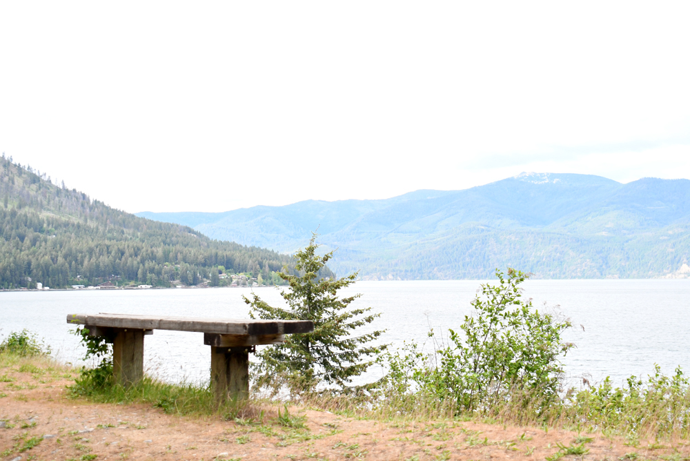 Family hikes and camping activities at Farragut State Park
