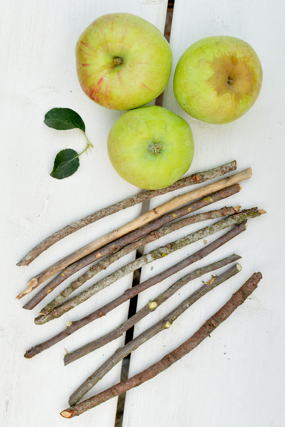 fall apples and wooden sticks